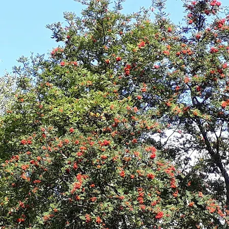 Varppi Saaristotila 여관 바사