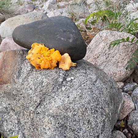 Locanda Varppi Saaristotila Vaasa